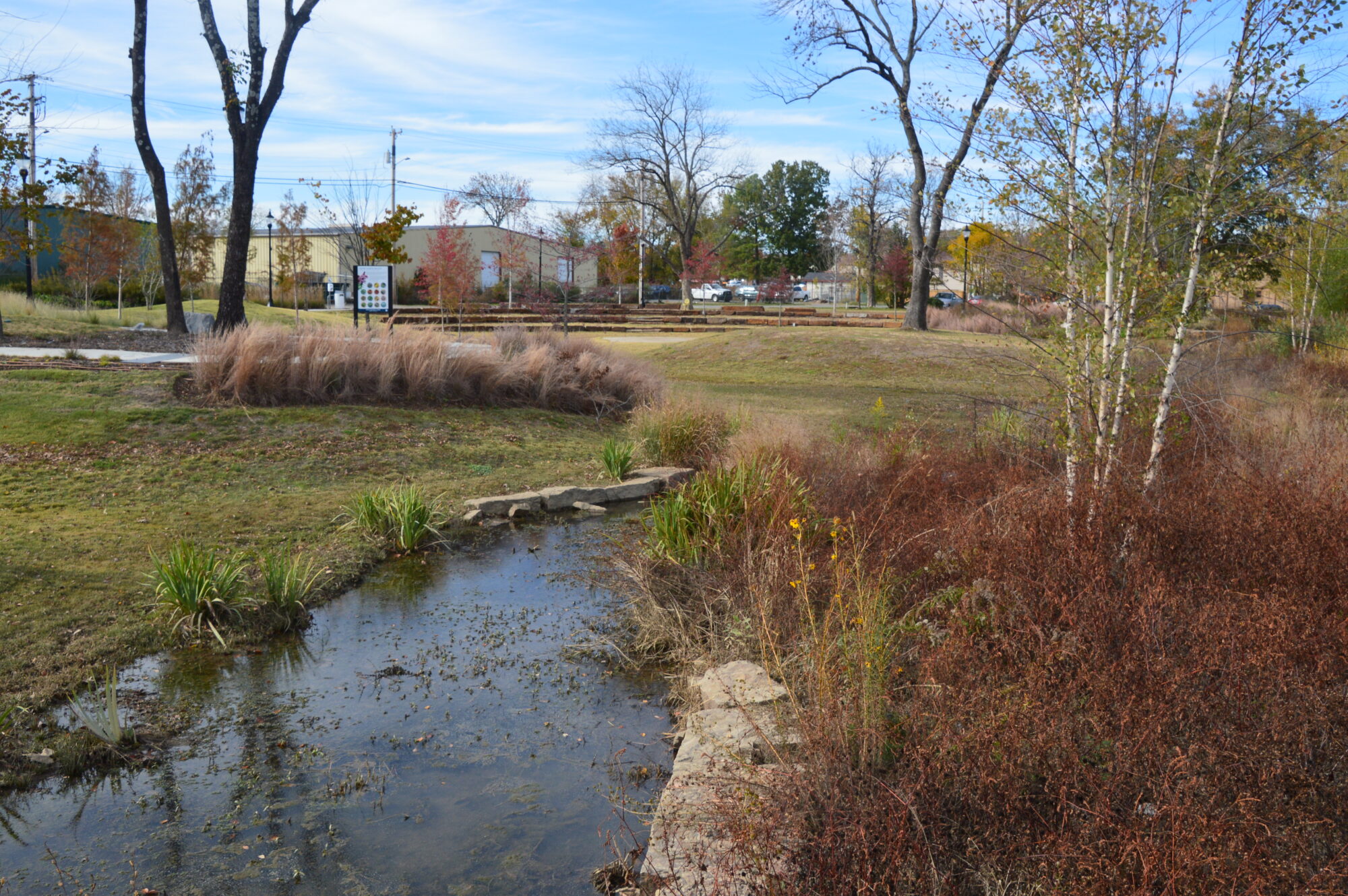 Creek running through a park